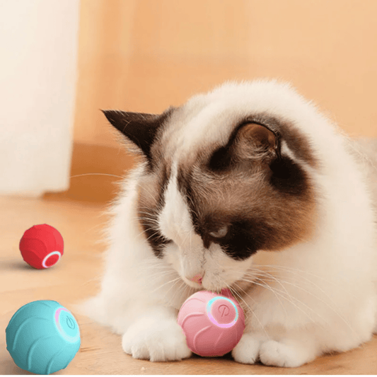 Balle interactive automatique pour chat CatBounce – Jeu actif & stimulant contre l'ennui CATILEM