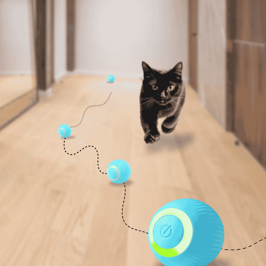 BALLE INTERACTIVE 360° CATILEM