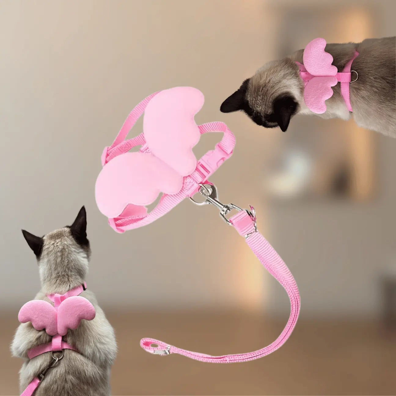 HARNAIS POUR CHAT- ANGELIQUE CATILEM