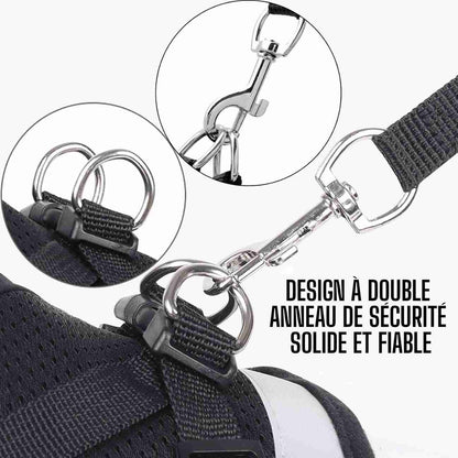 Harnais Réfléchissant Pour Chat – Promenades Sécurisées avec Laisse CATILEM