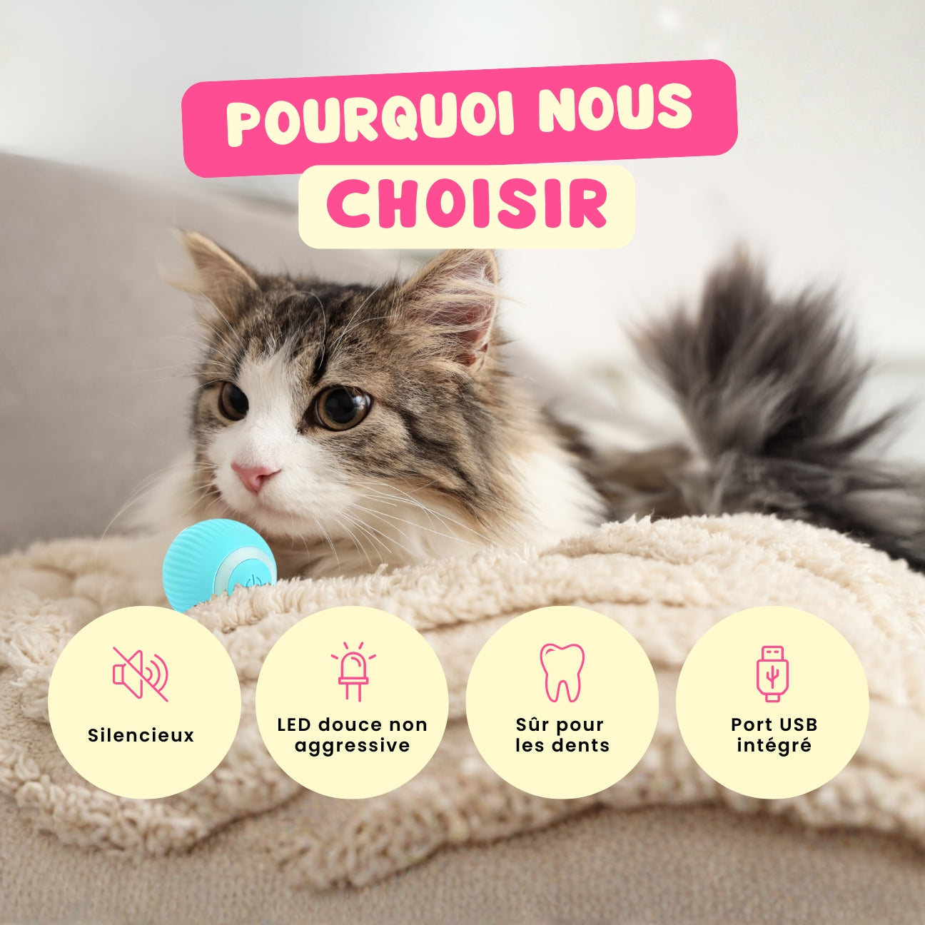 Balle interactive automatique pour chat CatMotion – Idéale contre l’ennui CATILEM