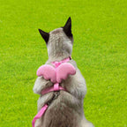 Harnais Ailes d’Ange Pour Chat – Confort & Style CATILEM