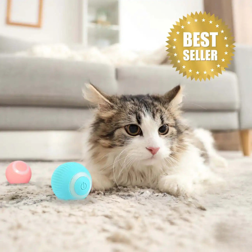 CatMotion™ | Balle interactive automatique pour chat – Idéale contre l’ennui CATILEM
