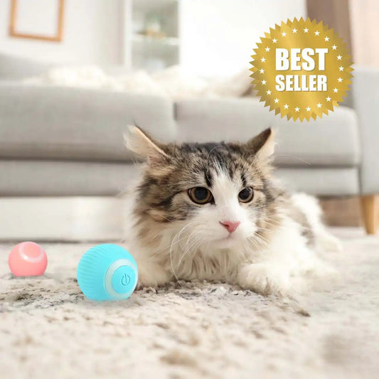 CatMotion™ | Balle interactive automatique pour chat – Idéale contre l’ennui CATILEM
