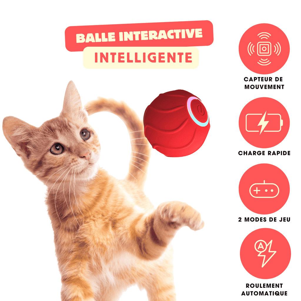 Balle interactive automatique pour chat CatBounce – Jeu actif & stimulant contre l'ennui CATILEM