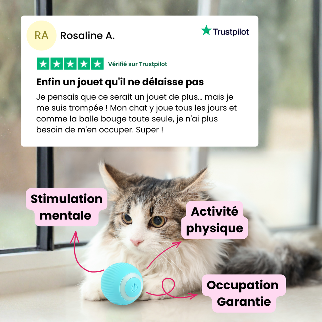 CatMotion | La balle qui occupe votre chat quand vous n'êtes pas là