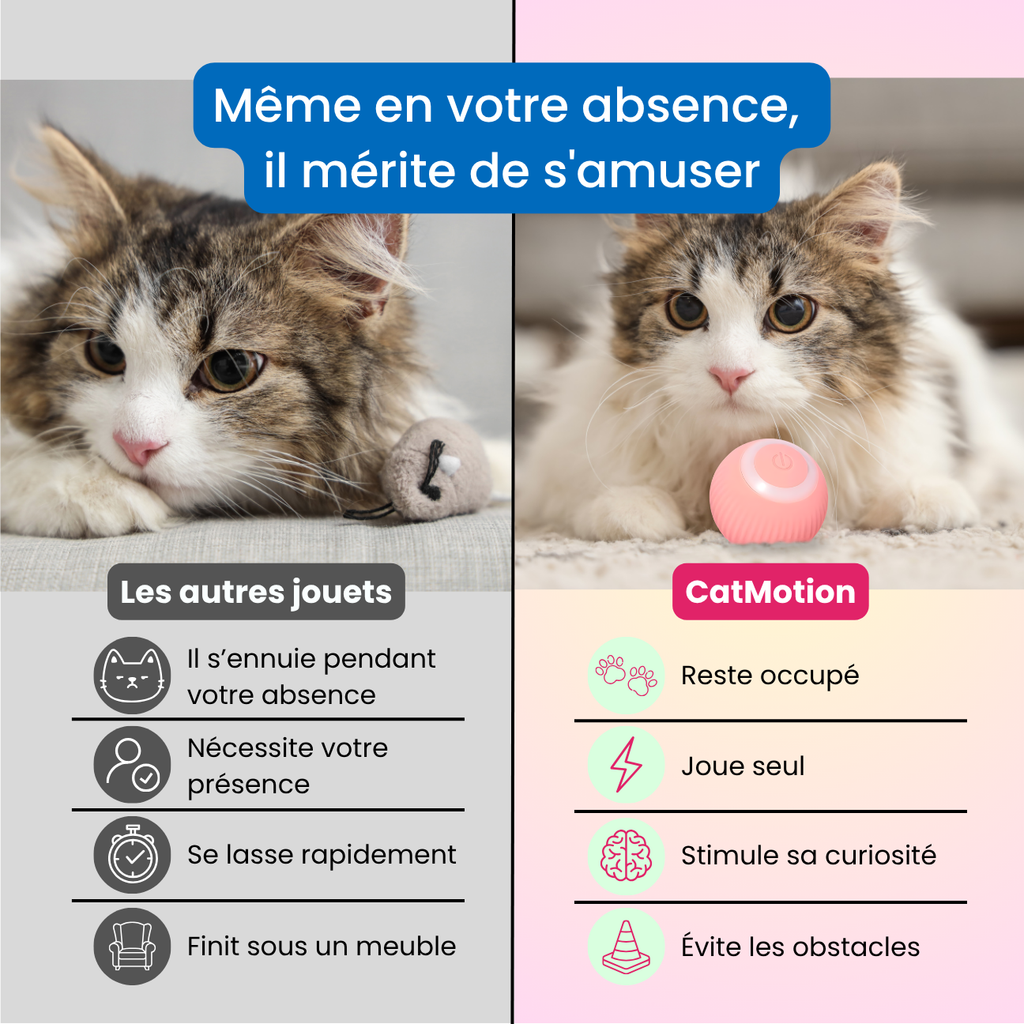 CatMotion | La balle qui occupe votre chat quand vous n'êtes pas là