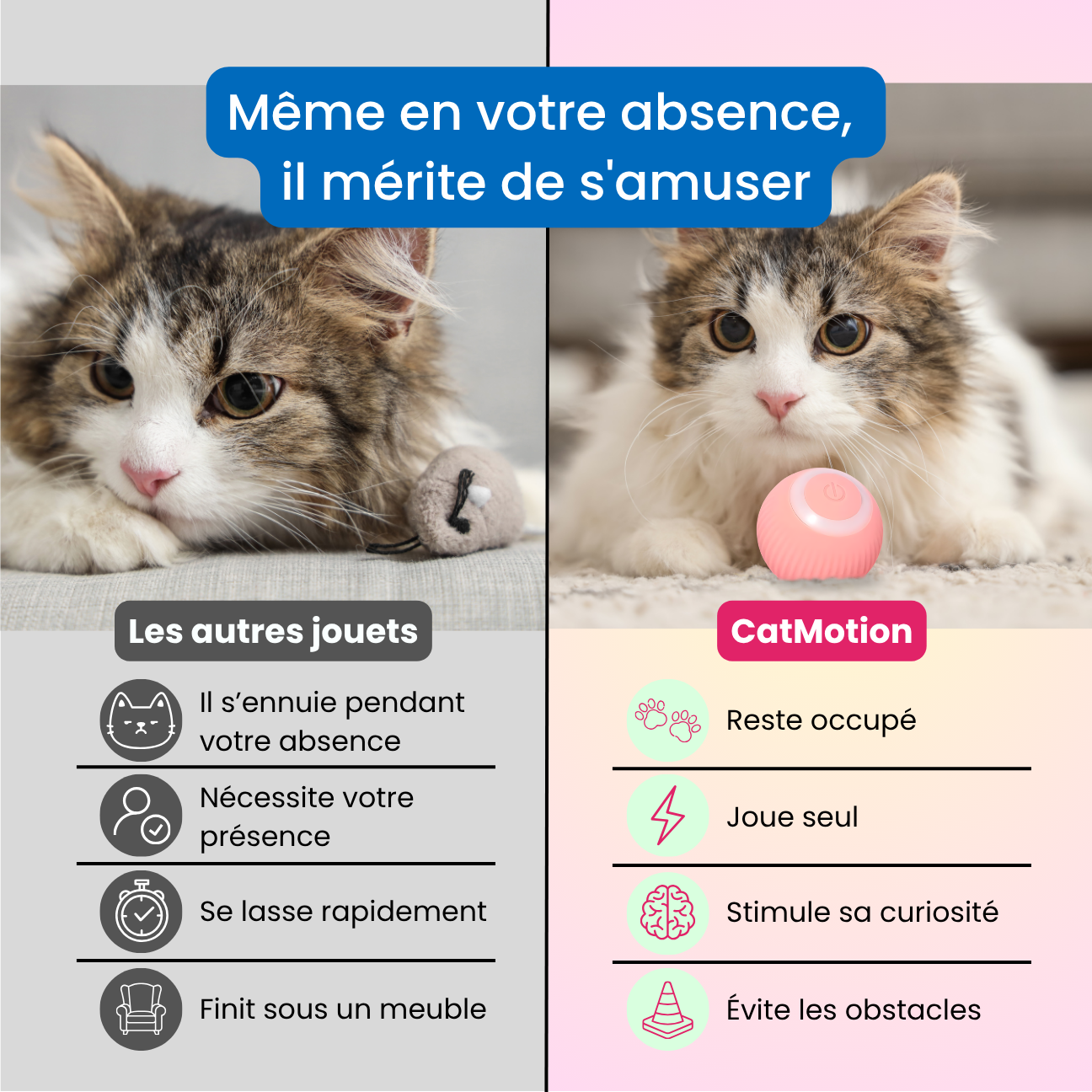 CatMotion | Balle Interactive