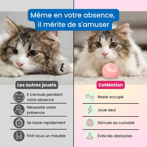 CatMotion | Balle Interactive