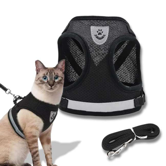 Harnais Réfléchissant Pour Chat – Promenades Sécurisées avec Laisse CATILEM