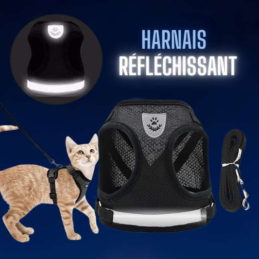 Harnais Réfléchissant Pour Chat – Promenades Sécurisées avec Laisse CATILEM