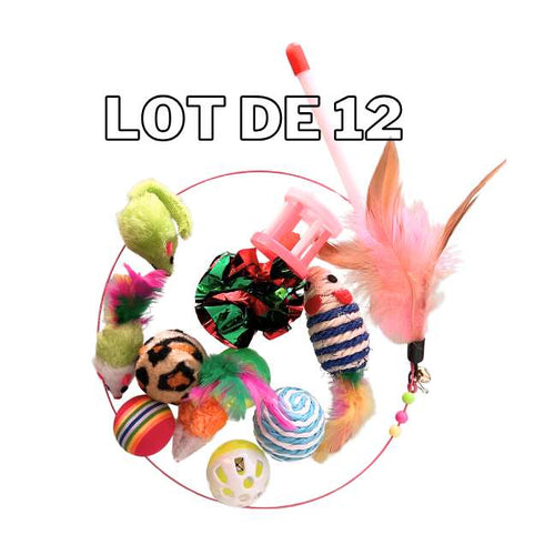 Lot 12 Jouets Pour Chat™ – Balles, Souris & Baguette CATILEM
