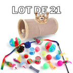 Lot 21 Jouets Pour Chat – Tunnel, Balles & Souris CATILEM