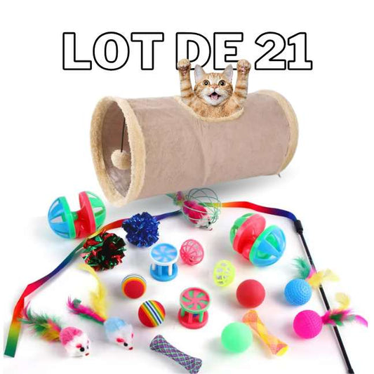 Lot 21 Jouets Pour Chat – Tunnel, Balles & Souris CATILEM