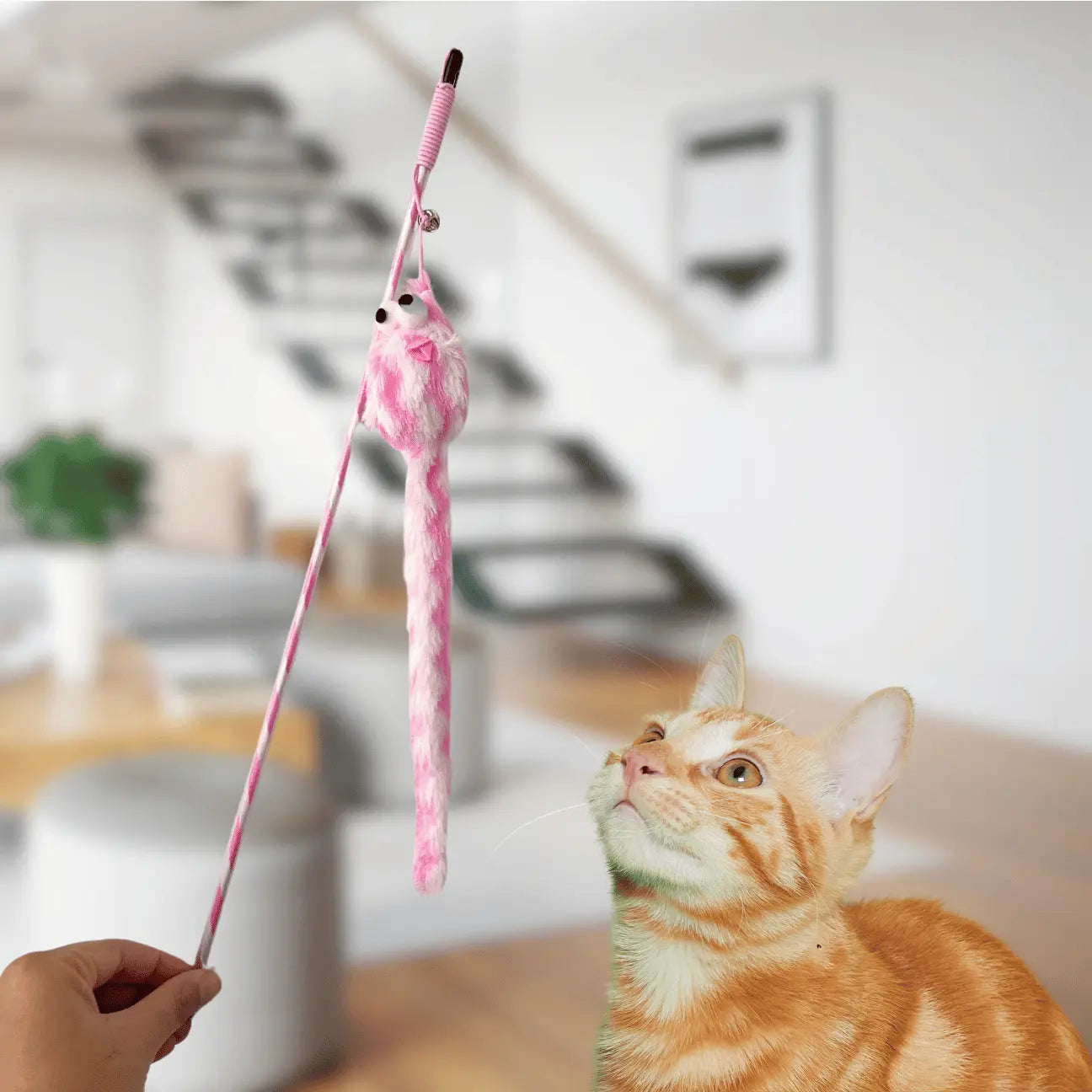 BAGUETTE POUR CHAT - PELUCHE CATILEM