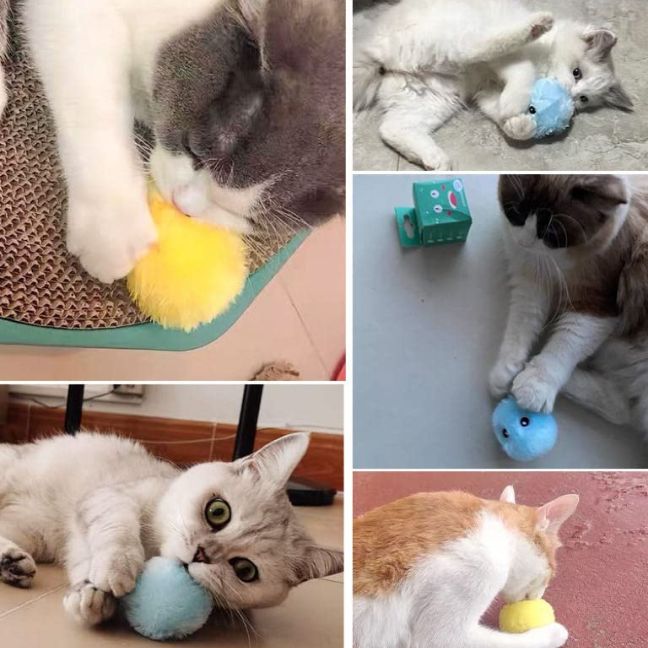 Balle sonore interactive pour chat SoundBall – Stimule l’instinct de chasse CATILEM