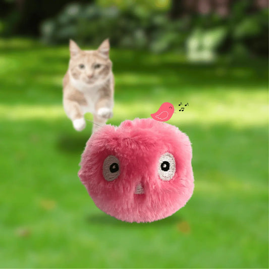 BALLE POUR CHAT INTERACTIVE CATILEM