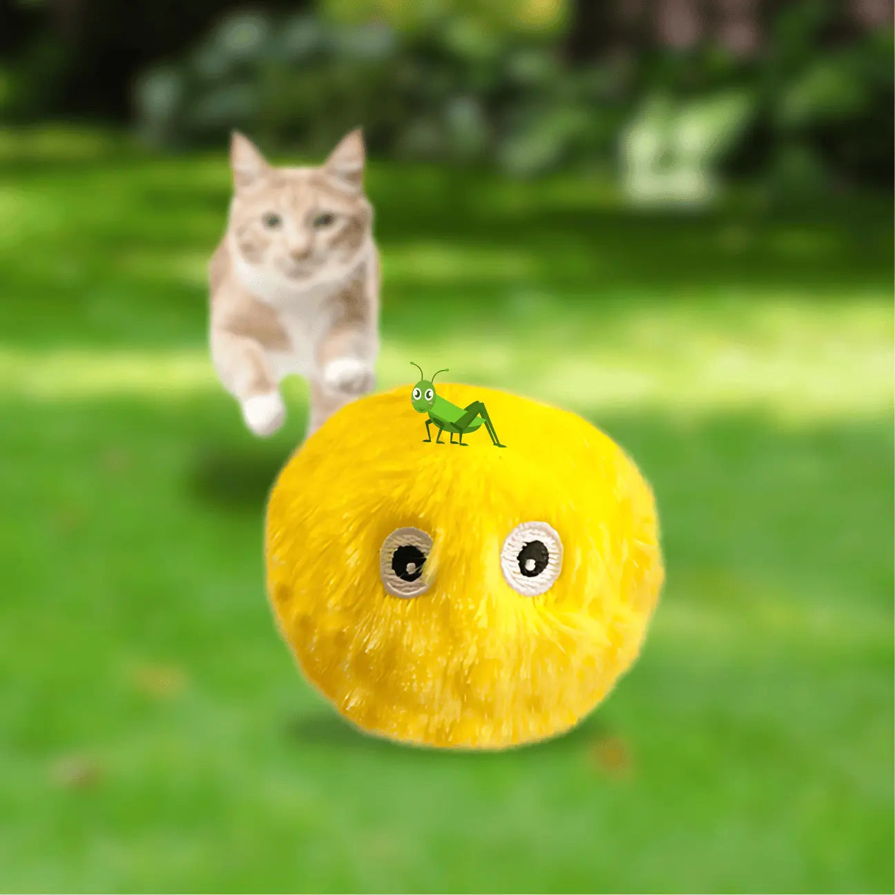 BALLE POUR CHAT INTERACTIVE CATILEM