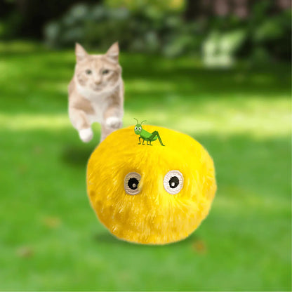 BALLE POUR CHAT INTERACTIVE CATILEM