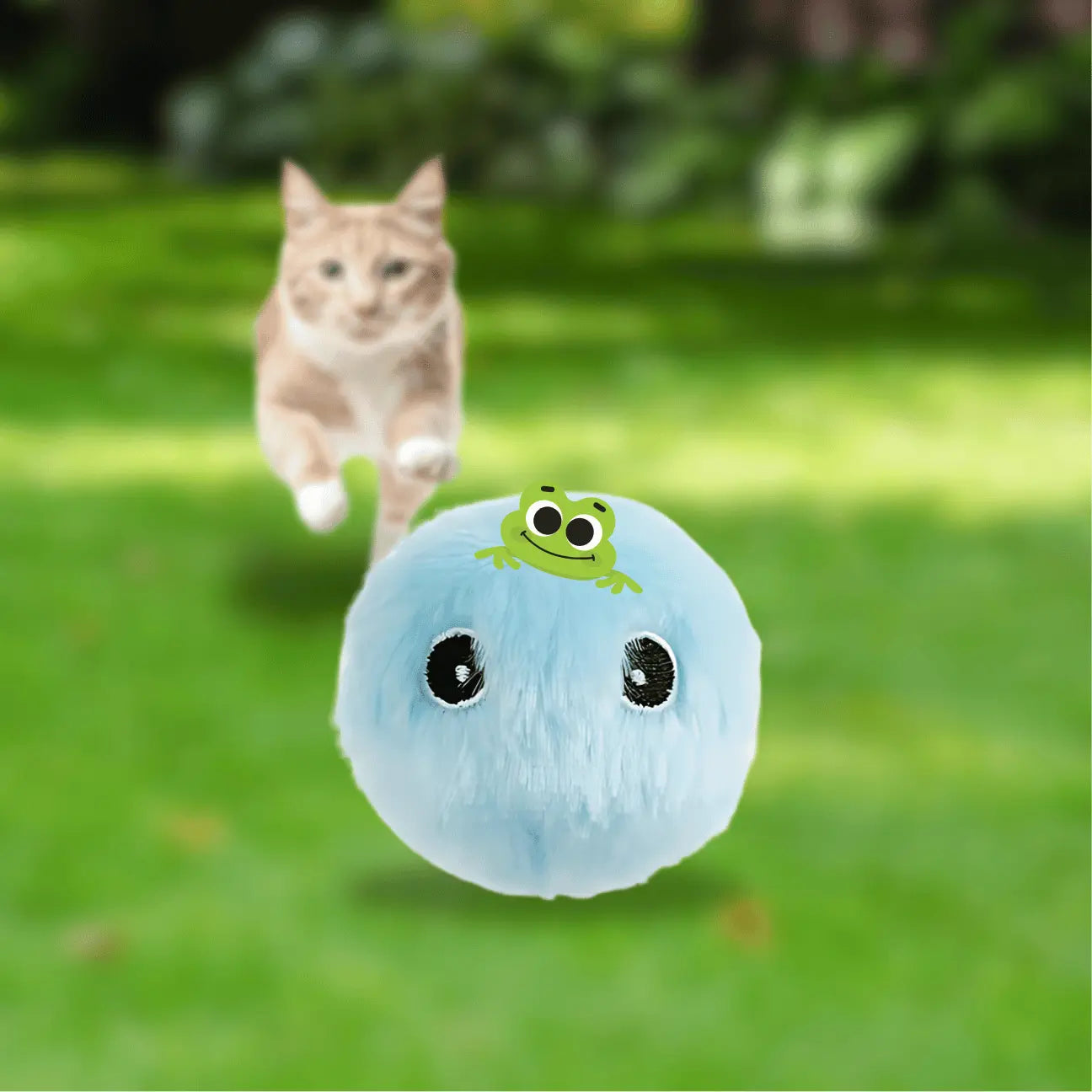 BALLE POUR CHAT INTERACTIVE CATILEM