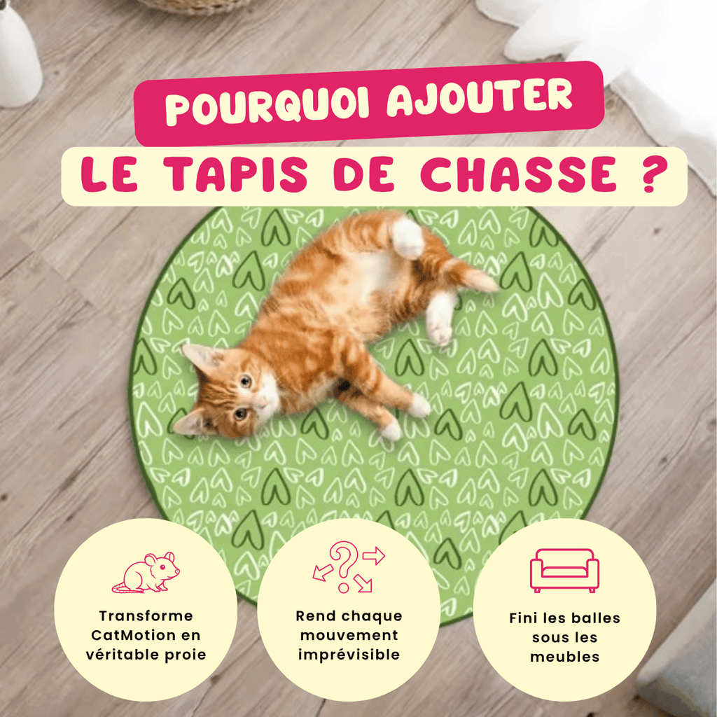 CatMotion | La balle qui occupe votre chat quand vous n'êtes pas là