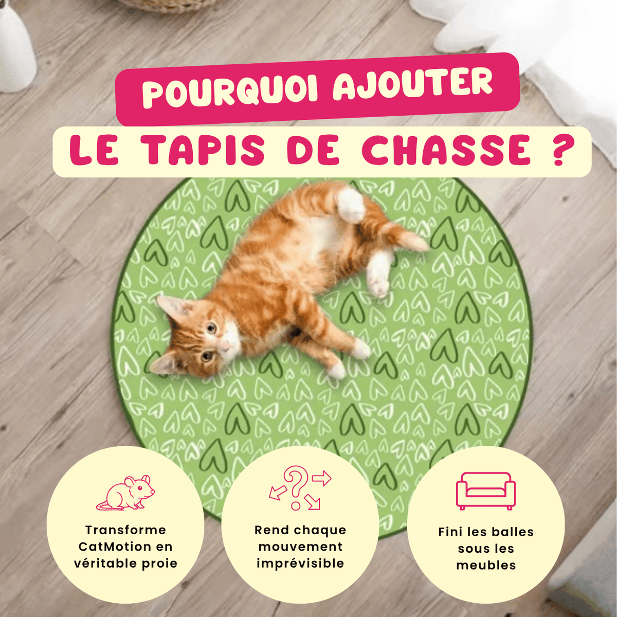 CatMotion | La balle qui occupe votre chat quand vous n'êtes pas là