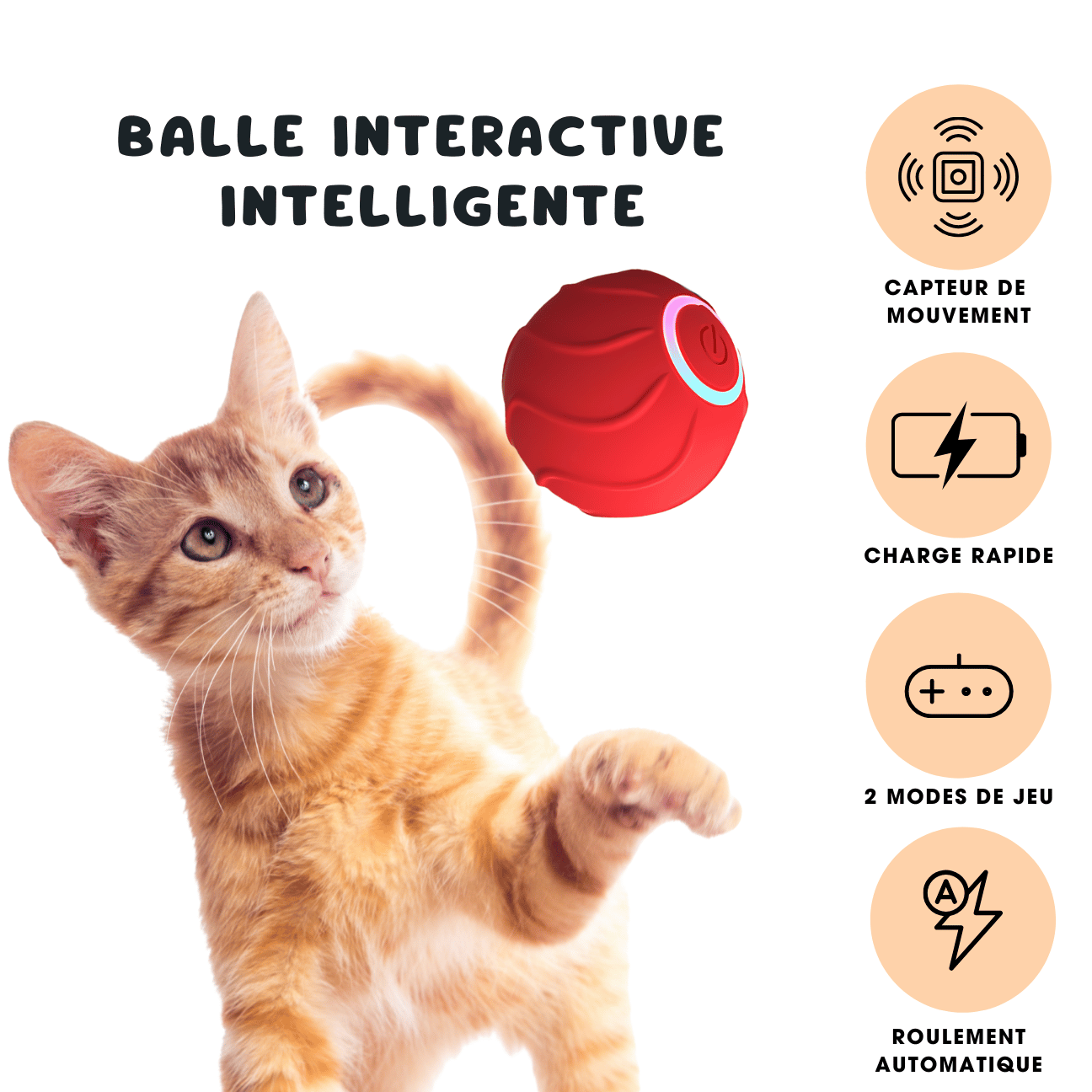 BALLE INTERACTIVE INTELLIGENTE CATILEM
