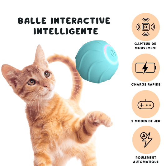 BALLE INTERACTIVE INTELLIGENTE CATILEM