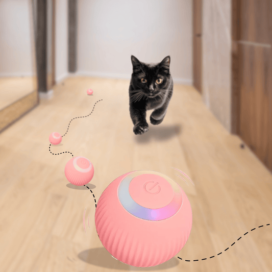 BALLE INTERACTIVE 360° CATILEM