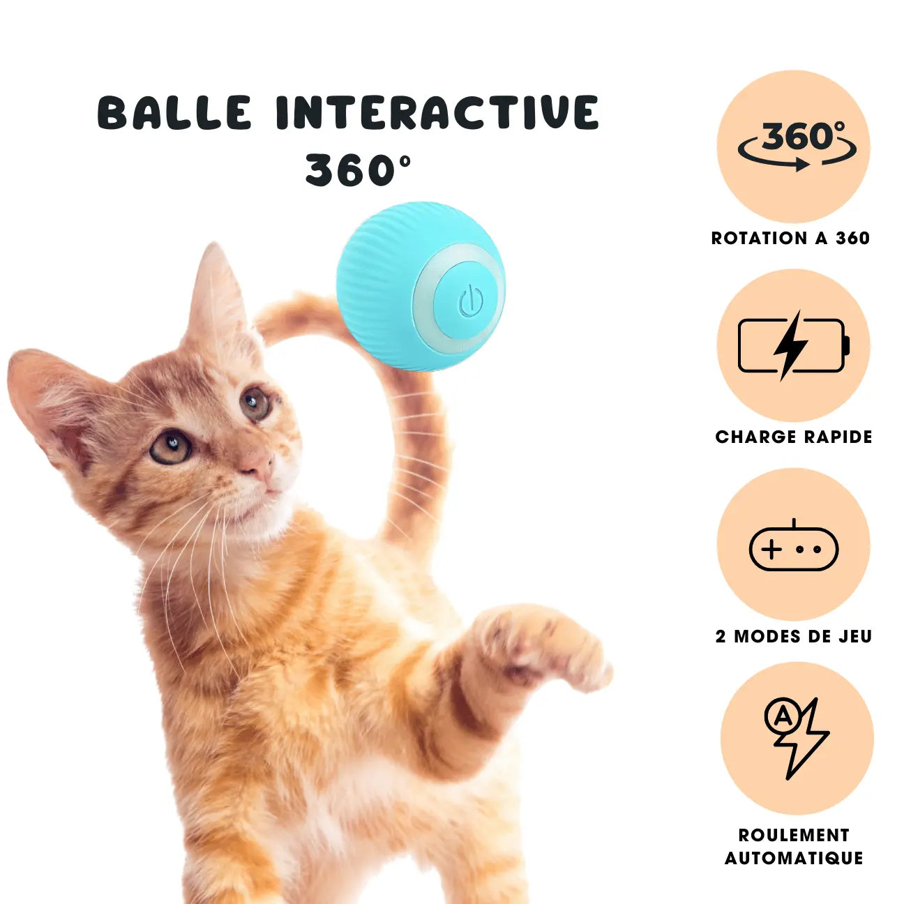 BALLE INTERACTIVE 360° CATILEM