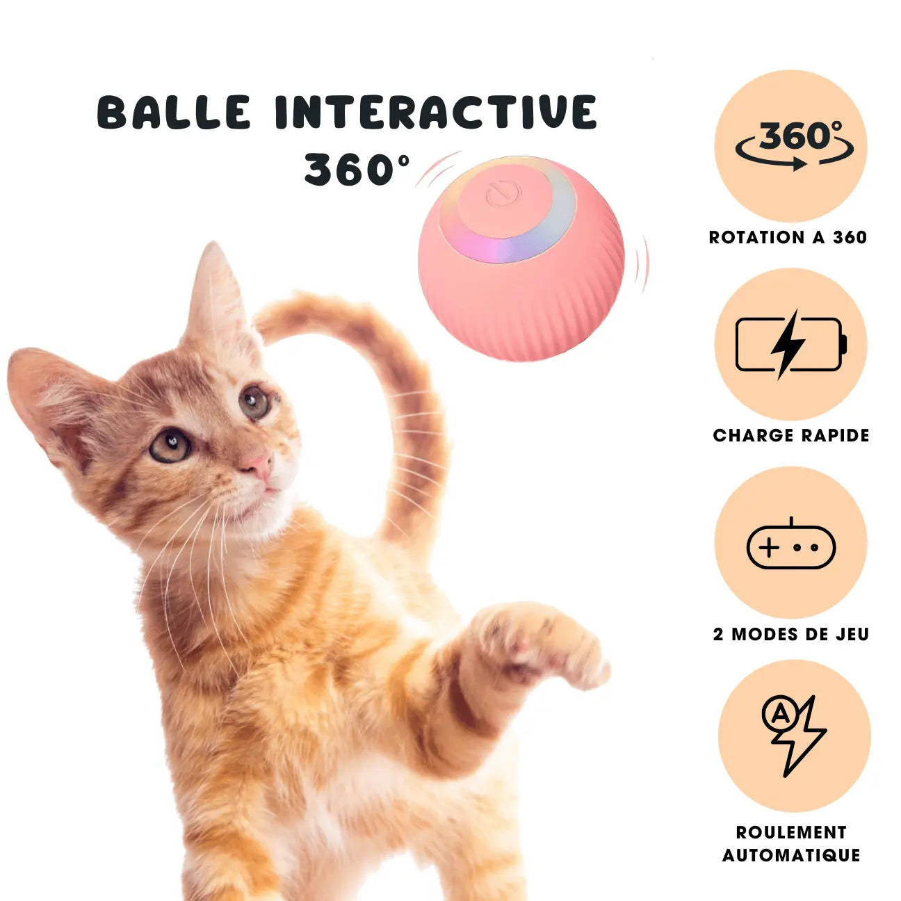 BALLE INTERACTIVE 360° CATILEM