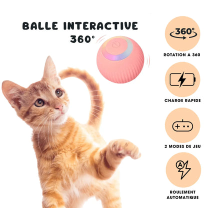 BALLE INTERACTIVE 360° CATILEM