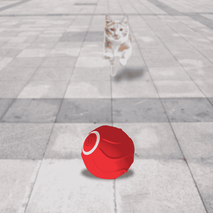 Balle interactive automatique LED pour chat CatBounce – Jeu actif & stimulant contre l'ennui - CATILEM