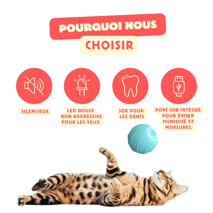 Balle interactive automatique LED pour chat CatBounce – Jeu actif & stimulant contre l'ennui - CATILEM
