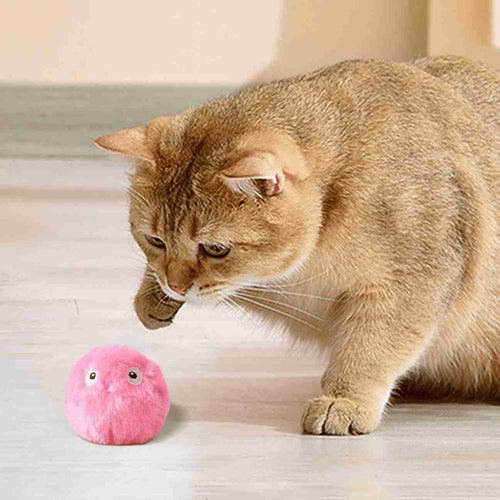 Balle sonore interactive pour chat SoundBall – Stimule l’instinct de chasse - CATILEM