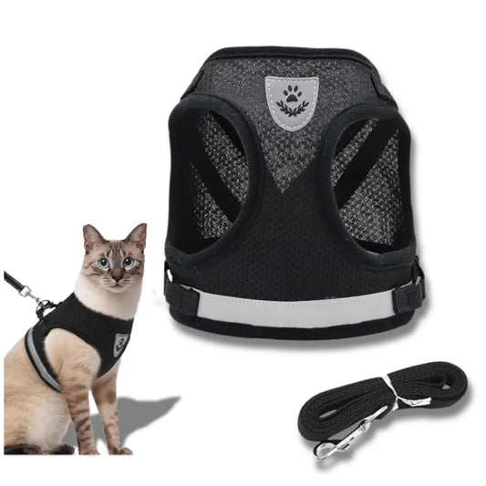 HARNAIS POUR CHAT RÉFLÉCHISSANT - CATILEM