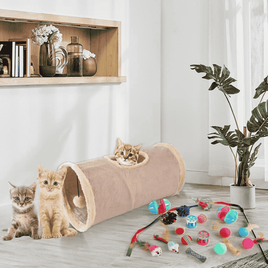 Lot 21 Jouets Pour Chat – Tunnel, Balles & Souris - CATILEM