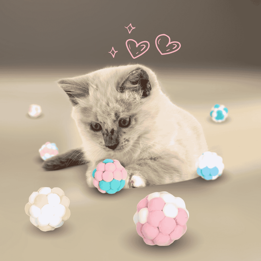 Lot de 6 balles interactives – Jeu et exercice pour chat - CATILEM