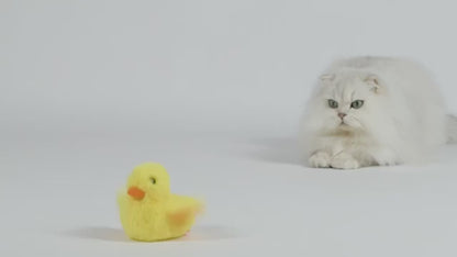 JOUET CHAT INTERACTIF CANARD